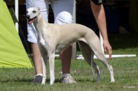 /album/mvp-mlada-boleslav-25-8-2012/dsc08316by-vipetka-jpg/